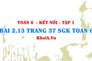 Bài 2.13 trang 37 SGK Toán 6 tập 1 Kết nối tri thức
